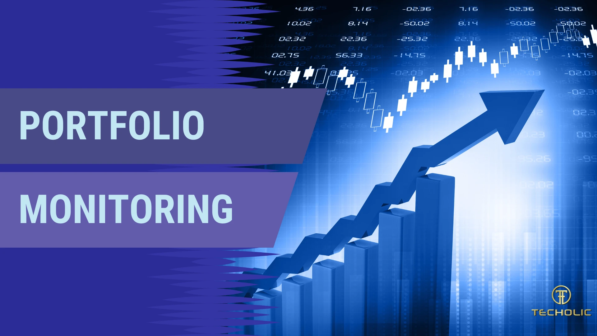 Portfolio Monitoring